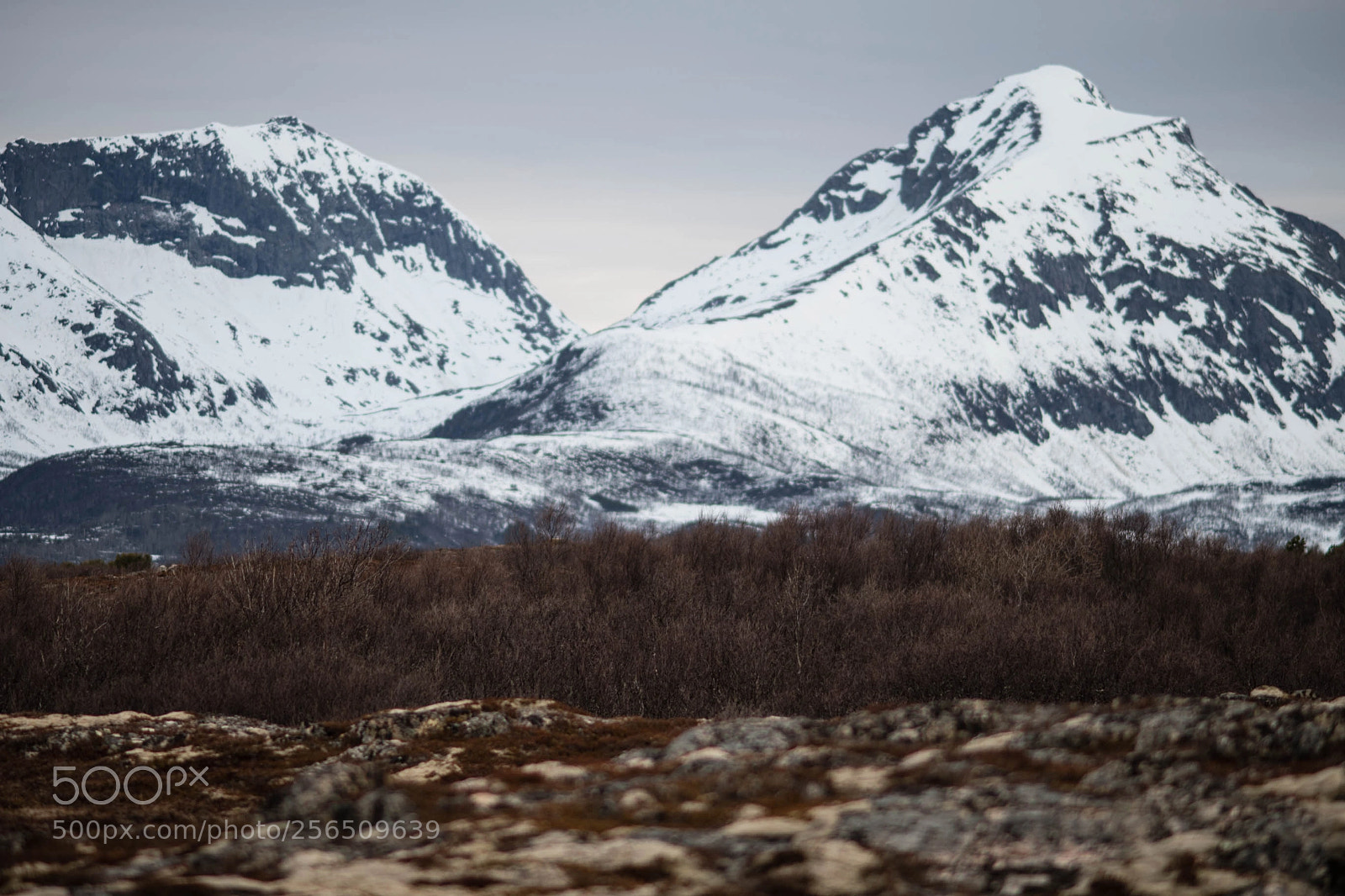 Nikon D850 sample photo. Arctic norway 2018 photography