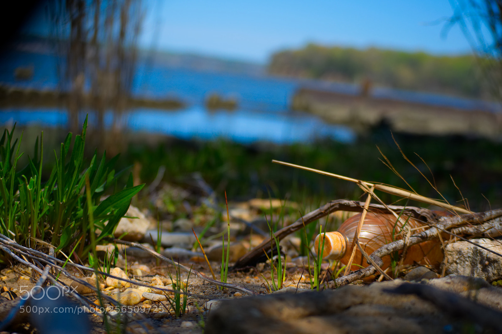 Nikon D5000 sample photo. Mallows bay detritus photography