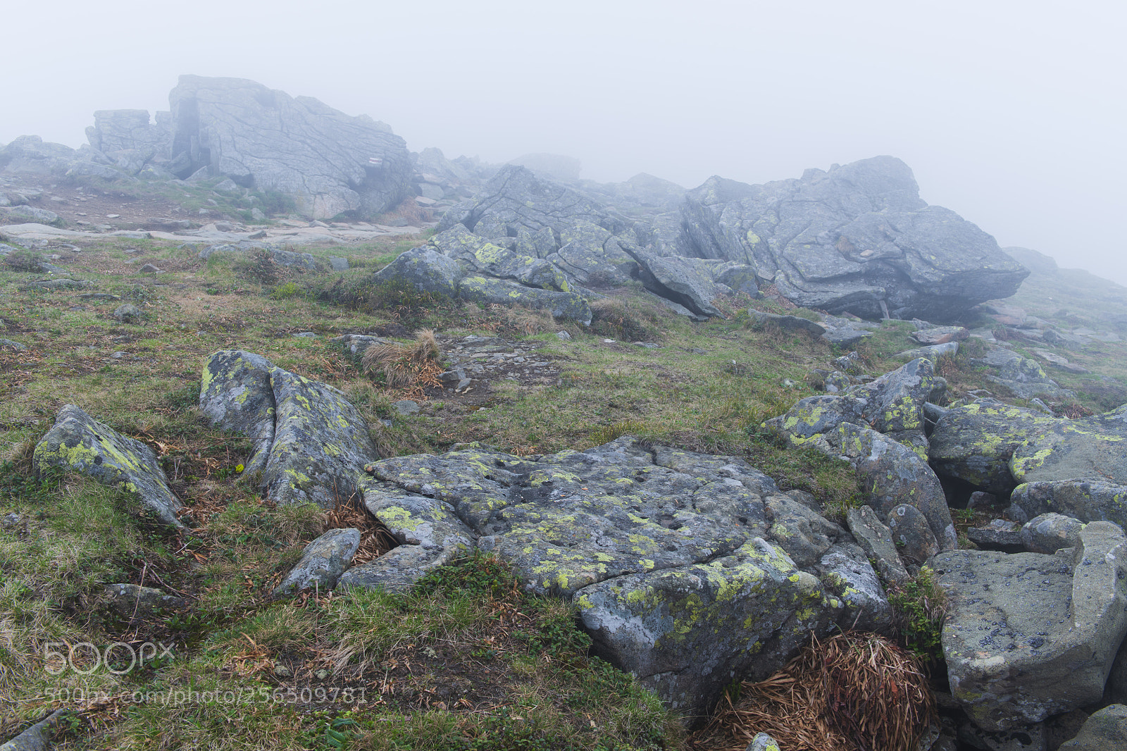 Nikon D850 sample photo. Rocks in the fog photography