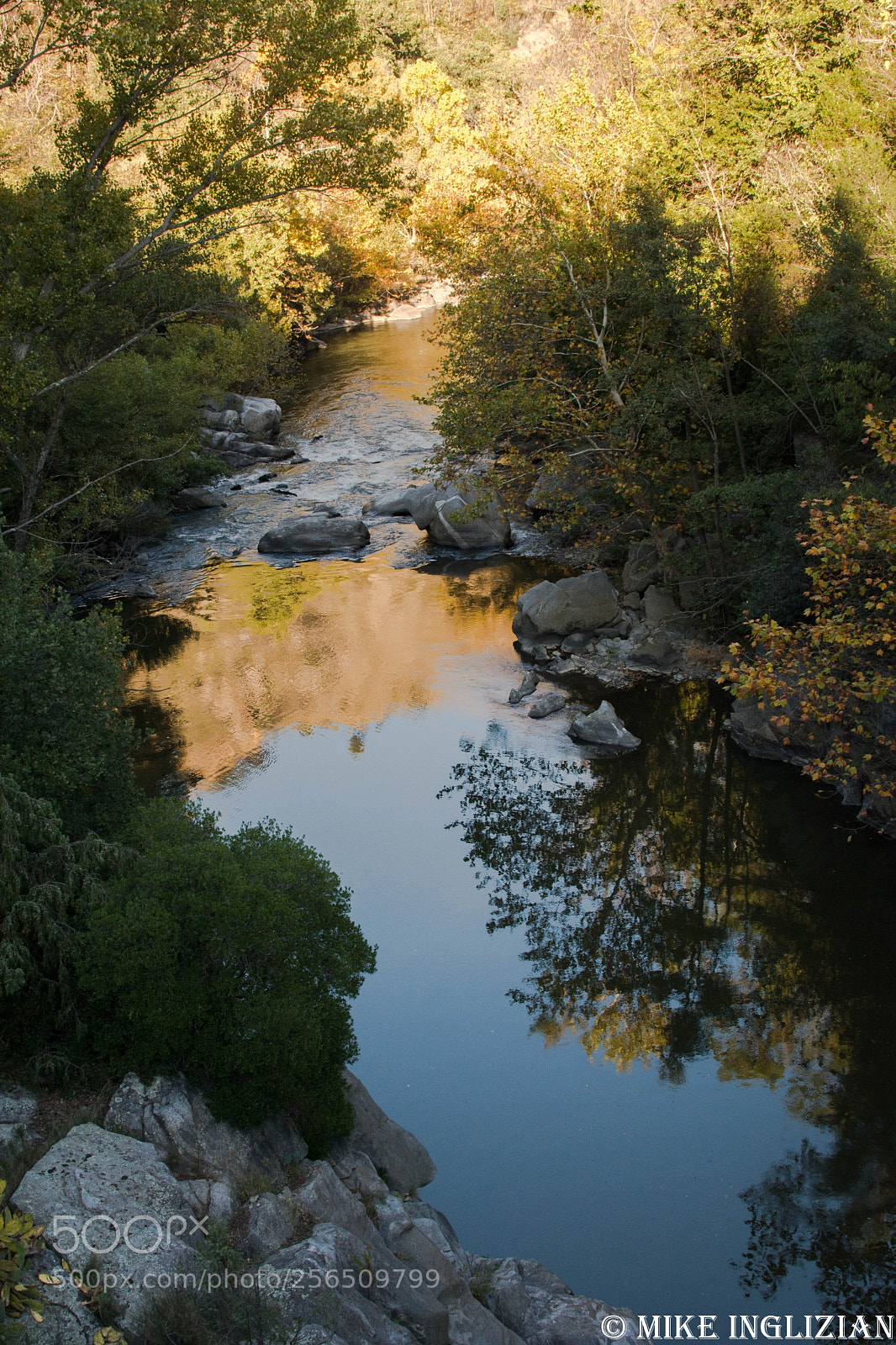 Nikon D5200 sample photo. Reflection naturelle photography