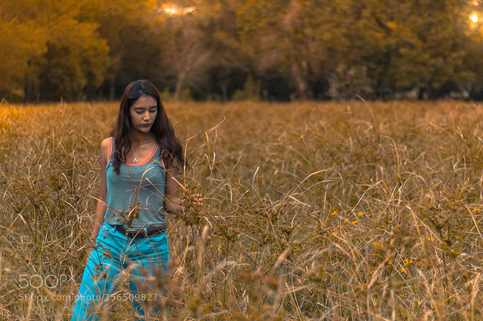 Canon EOS 60D sample photo. Untitled photography