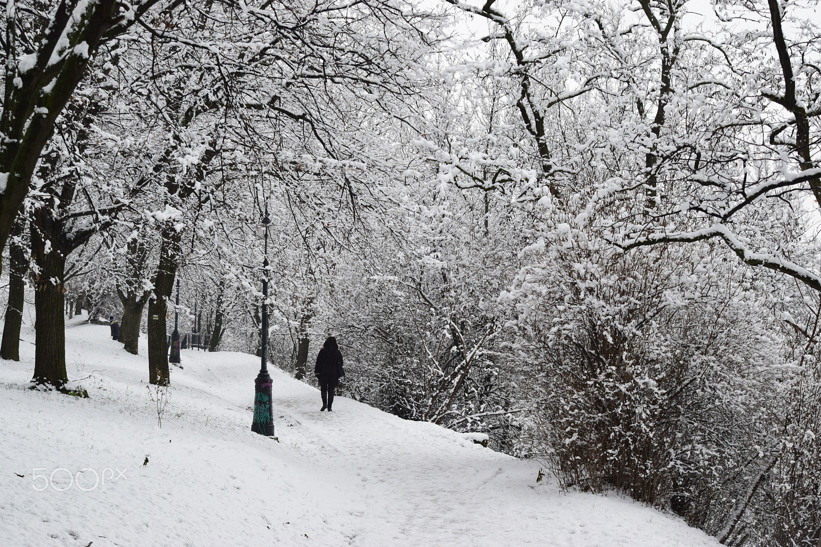 Nikon D3300 sample photo. Winter walk photography