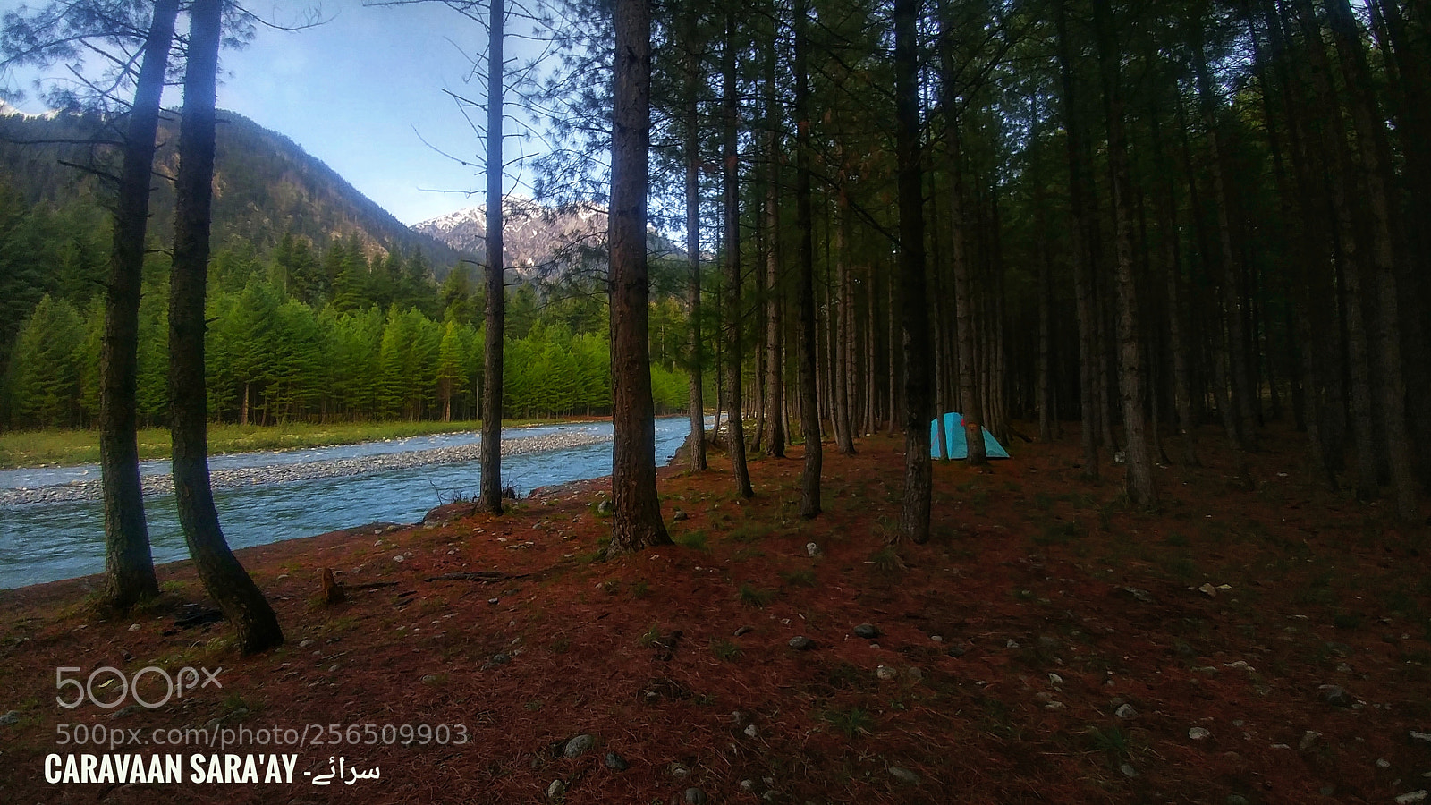 LG G5 sample photo. Camping life photography