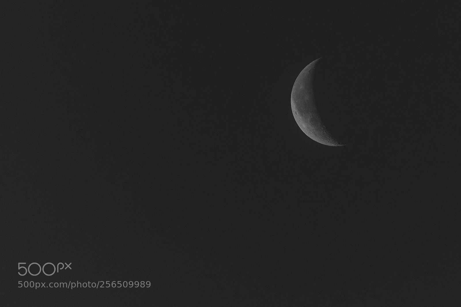 Canon EOS 5D Mark II sample photo. Untitled photography