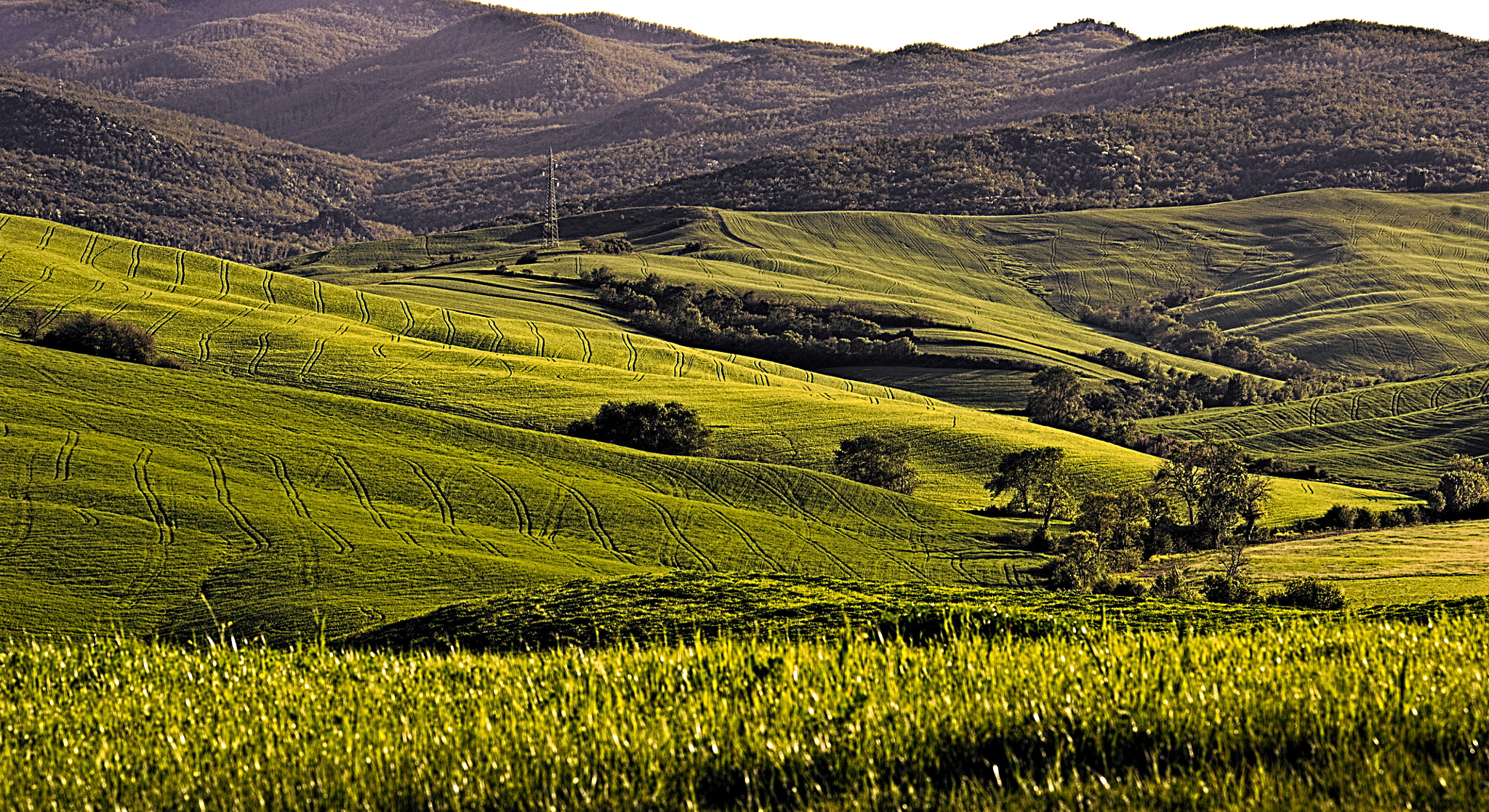 Manual Lens No CPU sample photo. Tuscany photography