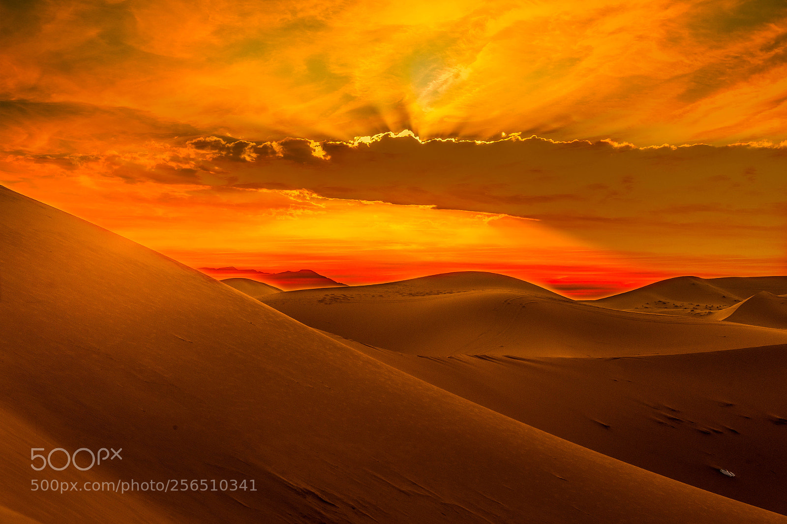 Nikon D4 sample photo. Merzouga photography