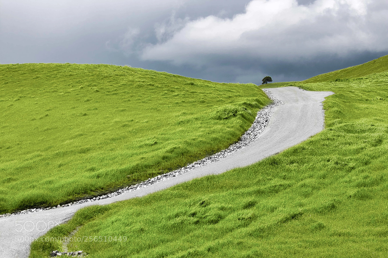 Canon EOS 70D sample photo. The path photography