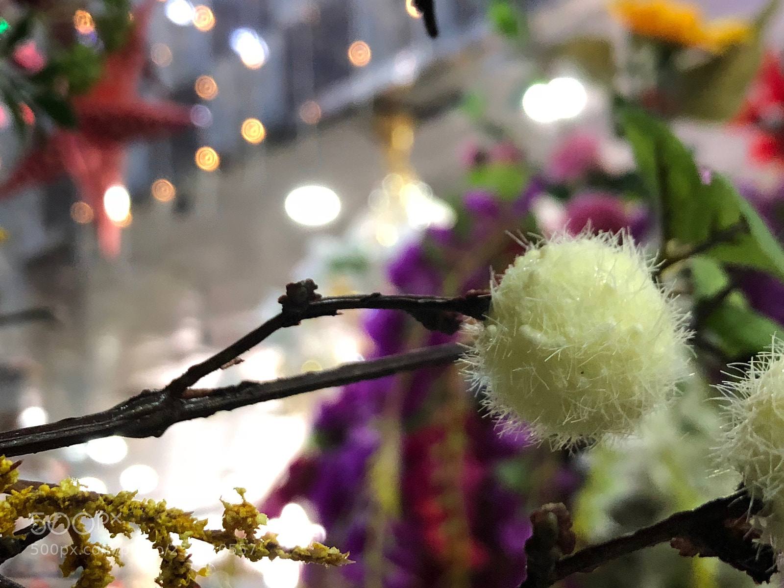 Apple iPhone X sample photo. Untitled photography