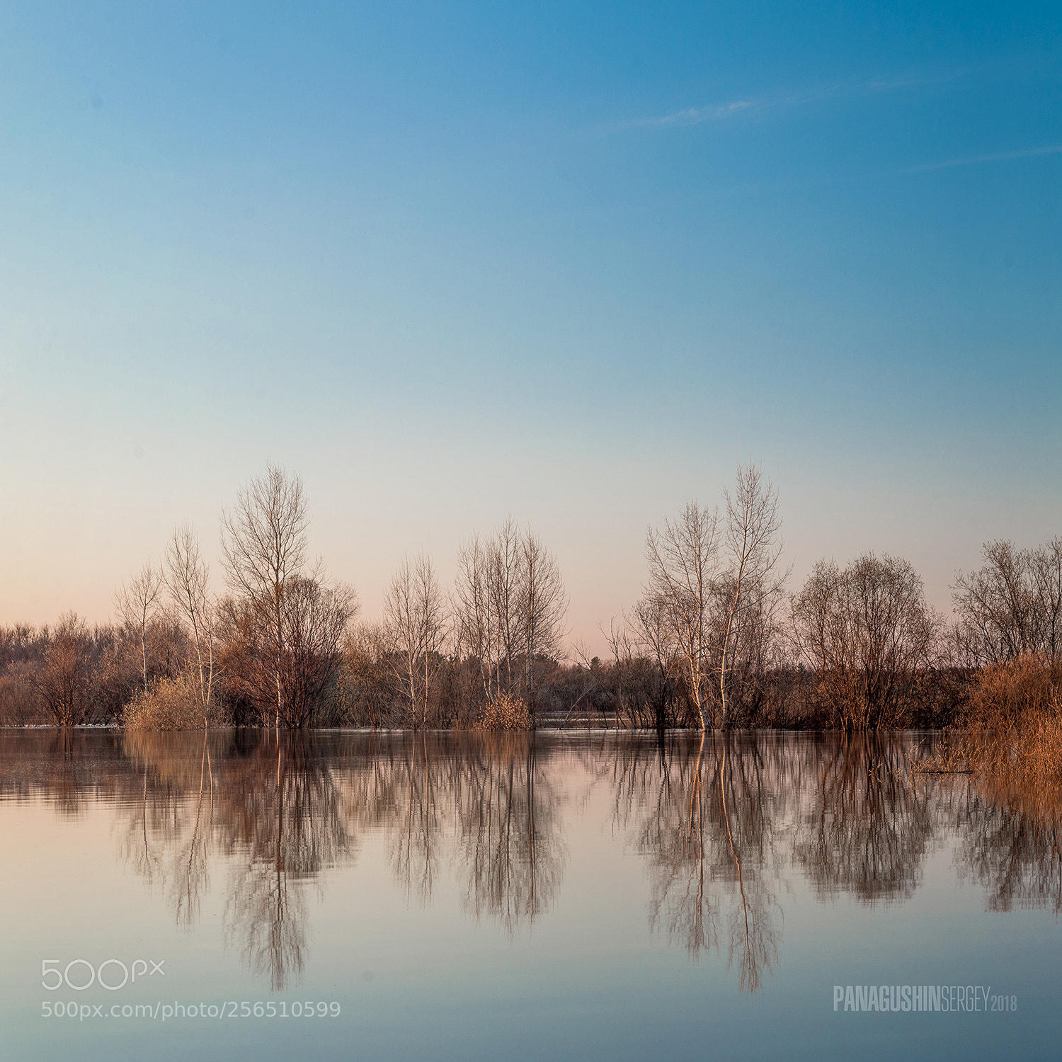 Canon EOS 70D sample photo. Reflection / Отражение photography