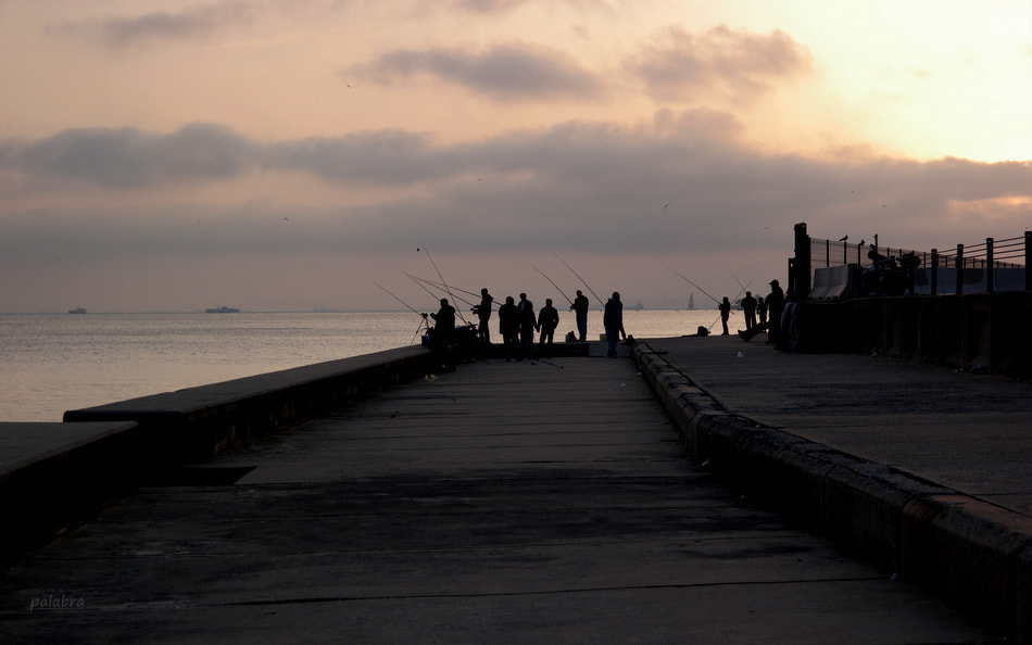 Samsung NX1 sample photo. ... photography