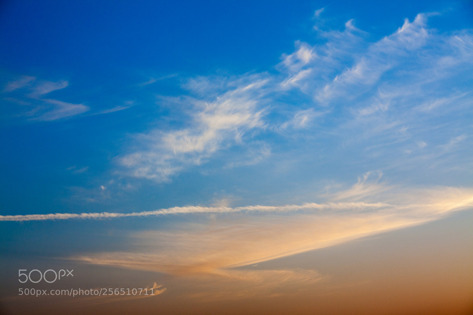 Canon EOS 5D Mark II sample photo. Untitled photography