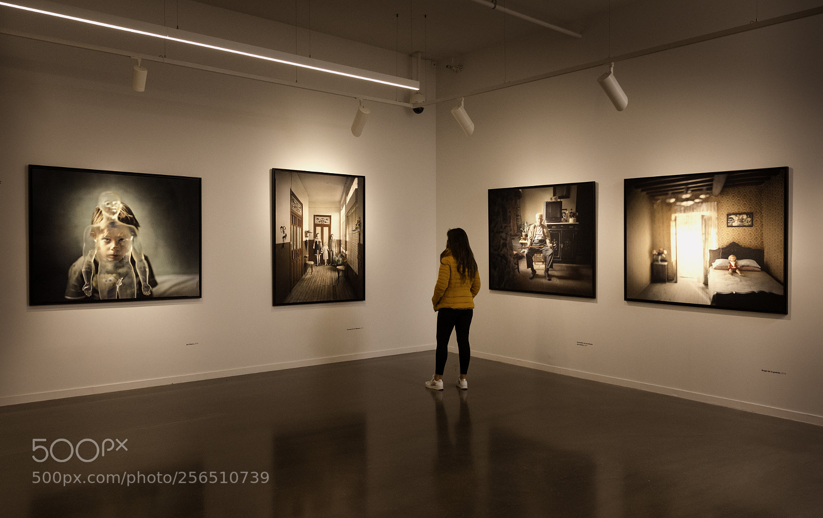 Canon EOS 70D sample photo. Tabakalera the gallery photography