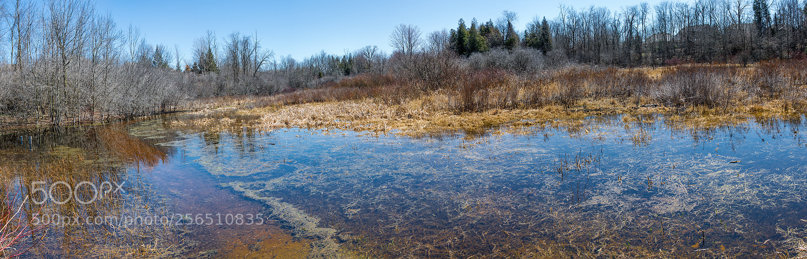 Nikon D7200 sample photo. High water flooded fields photography