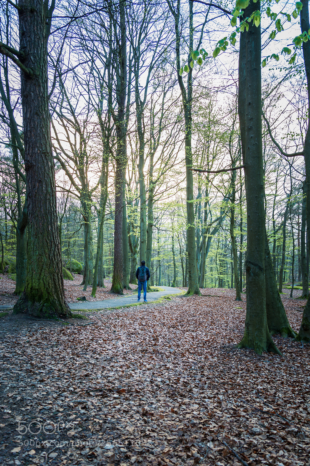 Nikon D5200 sample photo. Young adult backpacker through photography