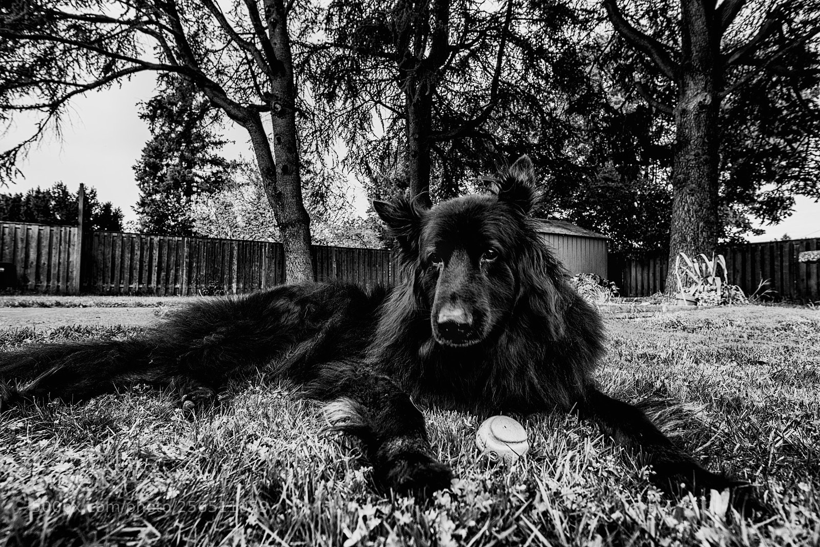Nikon D750 sample photo. Zuko griff photography