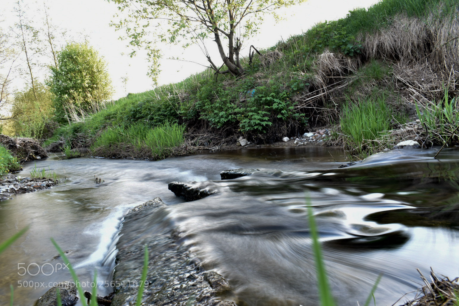 Nikon D5600 sample photo. Water photography