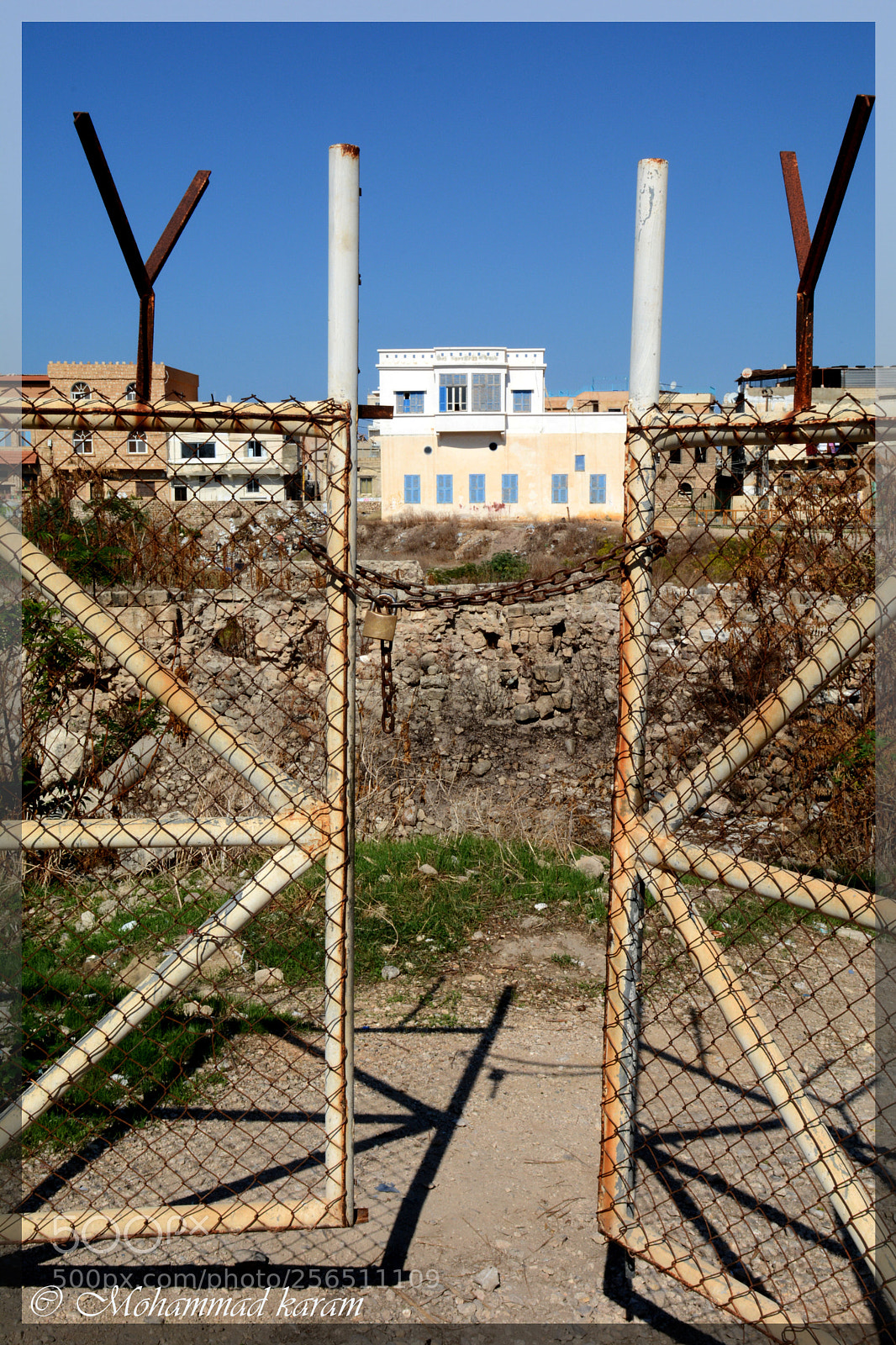 Nikon D7100 sample photo. Behind the fence photography