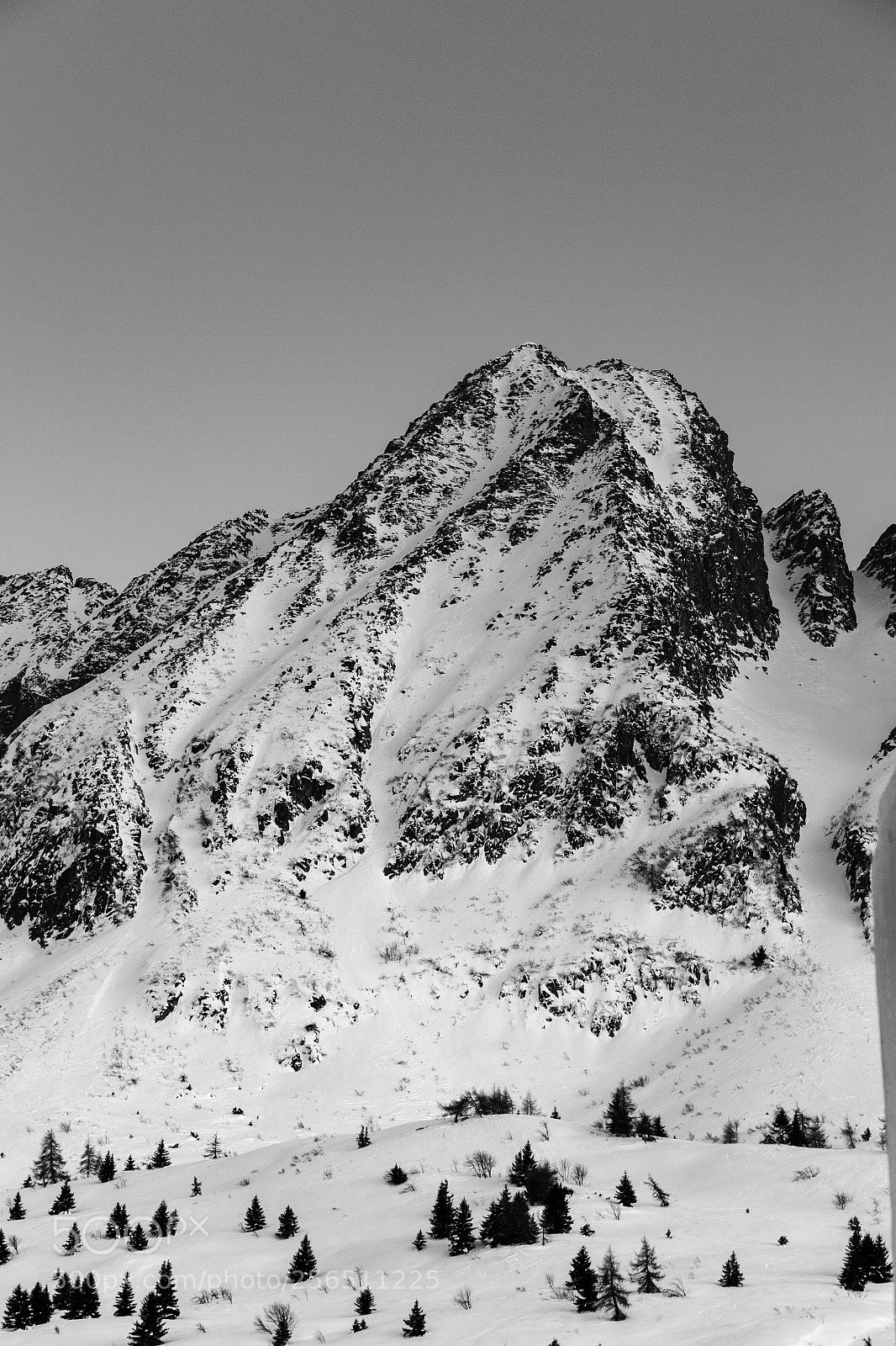 Canon EOS 6D sample photo. Tonale in b&w photography