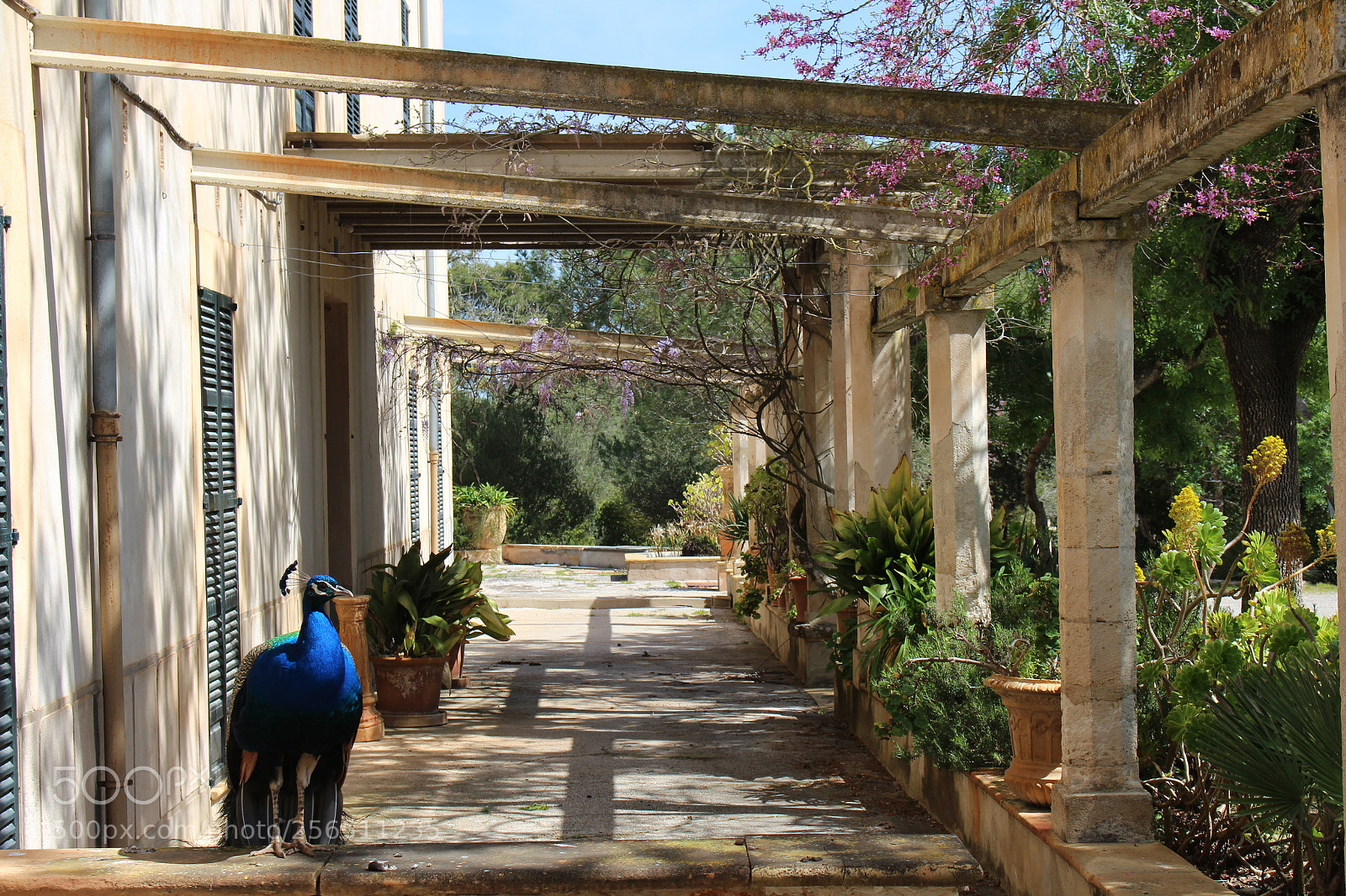 Canon EOS 700D (EOS Rebel T5i / EOS Kiss X7i) sample photo. Mallorca - pollensa photography