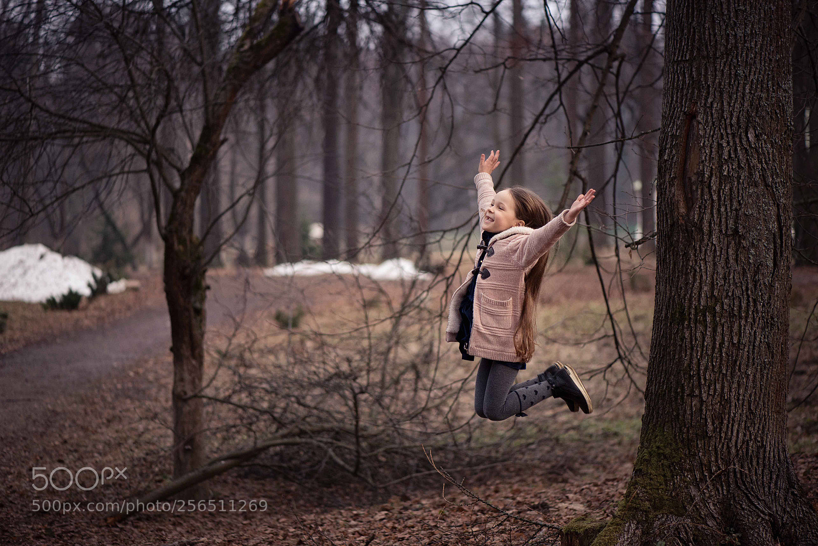Nikon D610 sample photo. Untitled photography