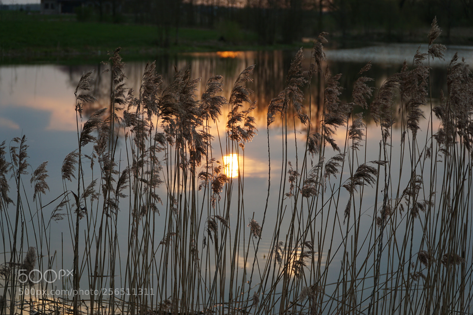 Sony a6000 sample photo. //// photography