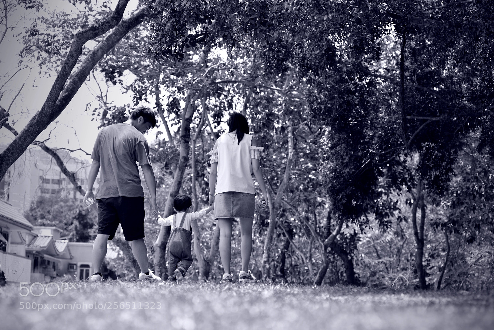 Nikon D800 sample photo. Untitled photography