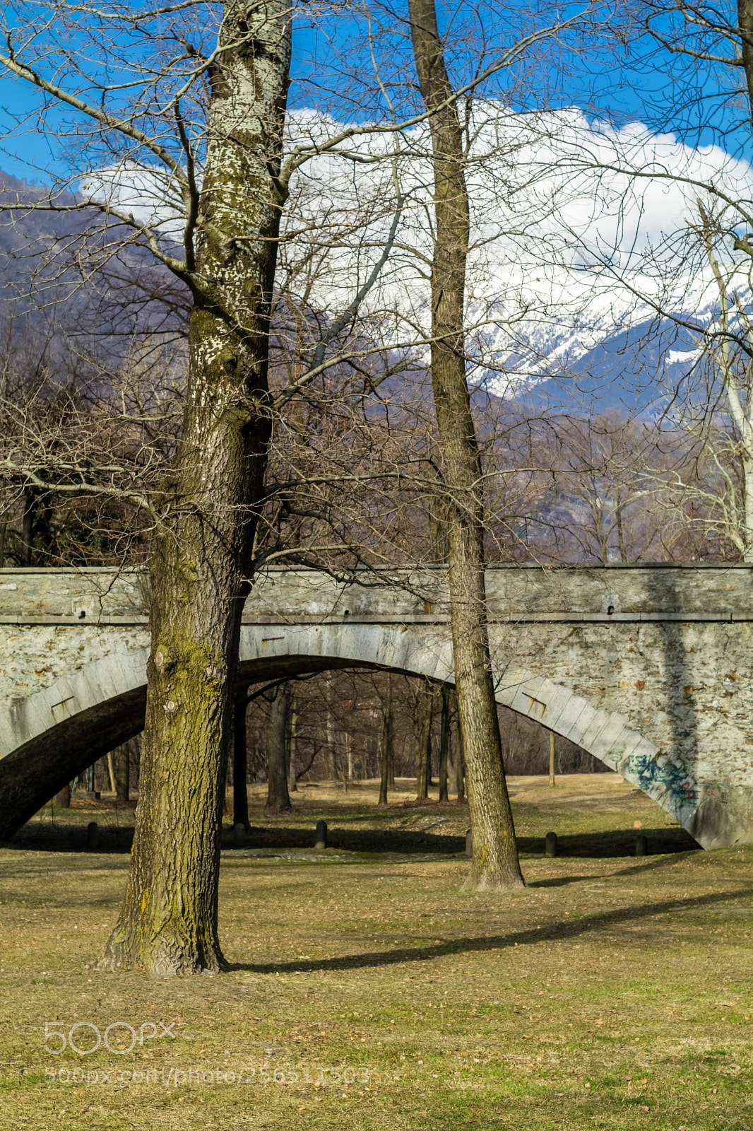 Canon EOS 80D sample photo. Bridge in the wood photography