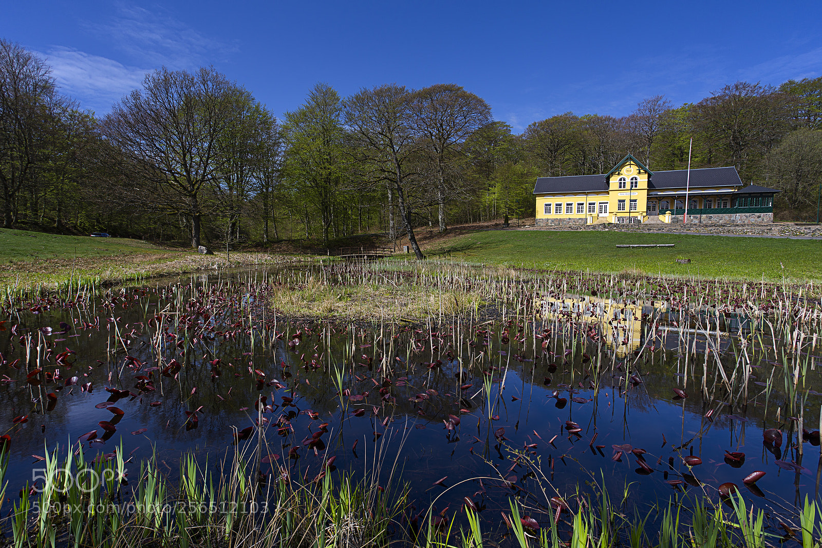 Canon EOS 6D sample photo. Tolne forest pavilion photography