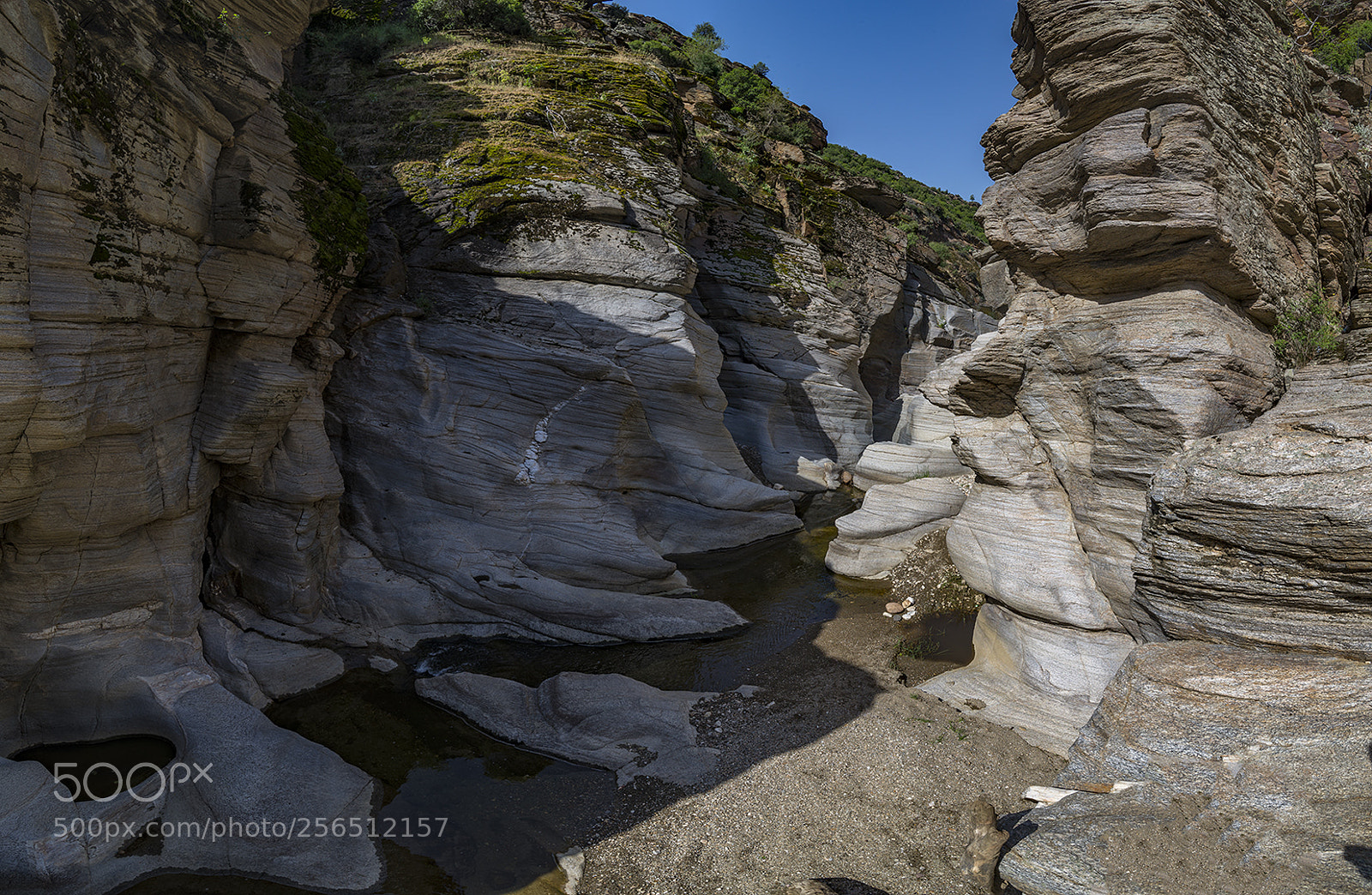 Nikon D610 sample photo. Ta yaran vadisi ta photography