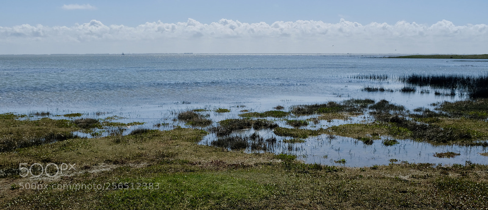 Fujifilm X100F sample photo. Schiermonnikoog waddendijk photography