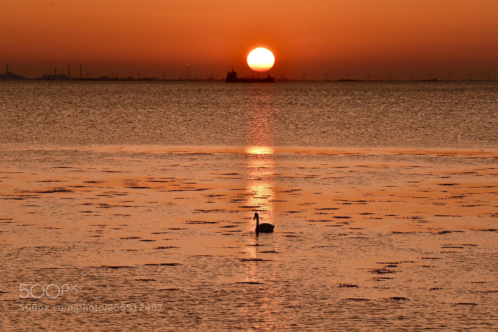 Nikon D810 sample photo. Sunset malmö sweden 76! photography
