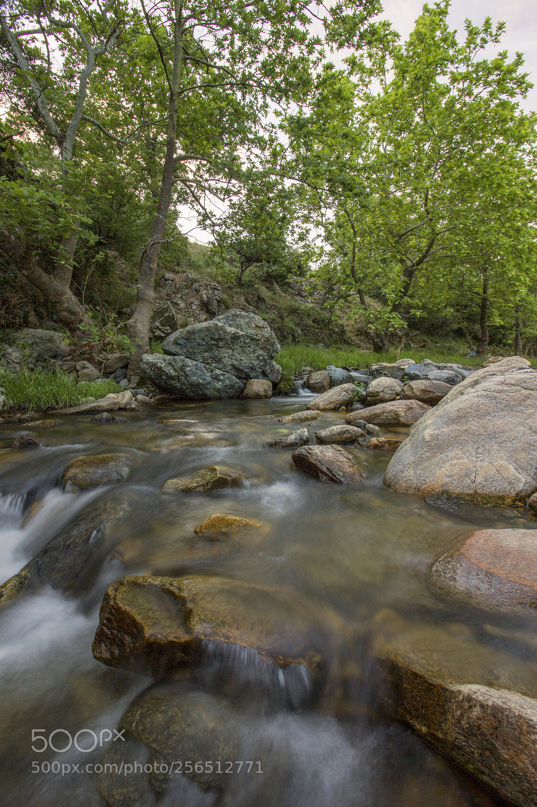 Canon EOS 550D (EOS Rebel T2i / EOS Kiss X4) sample photo. Pandrosos river photography