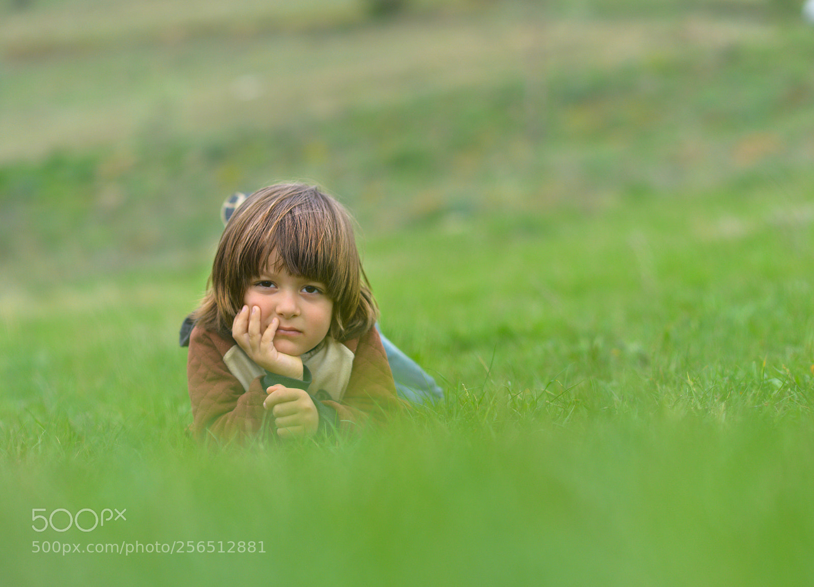 Nikon D800 sample photo. ... photography