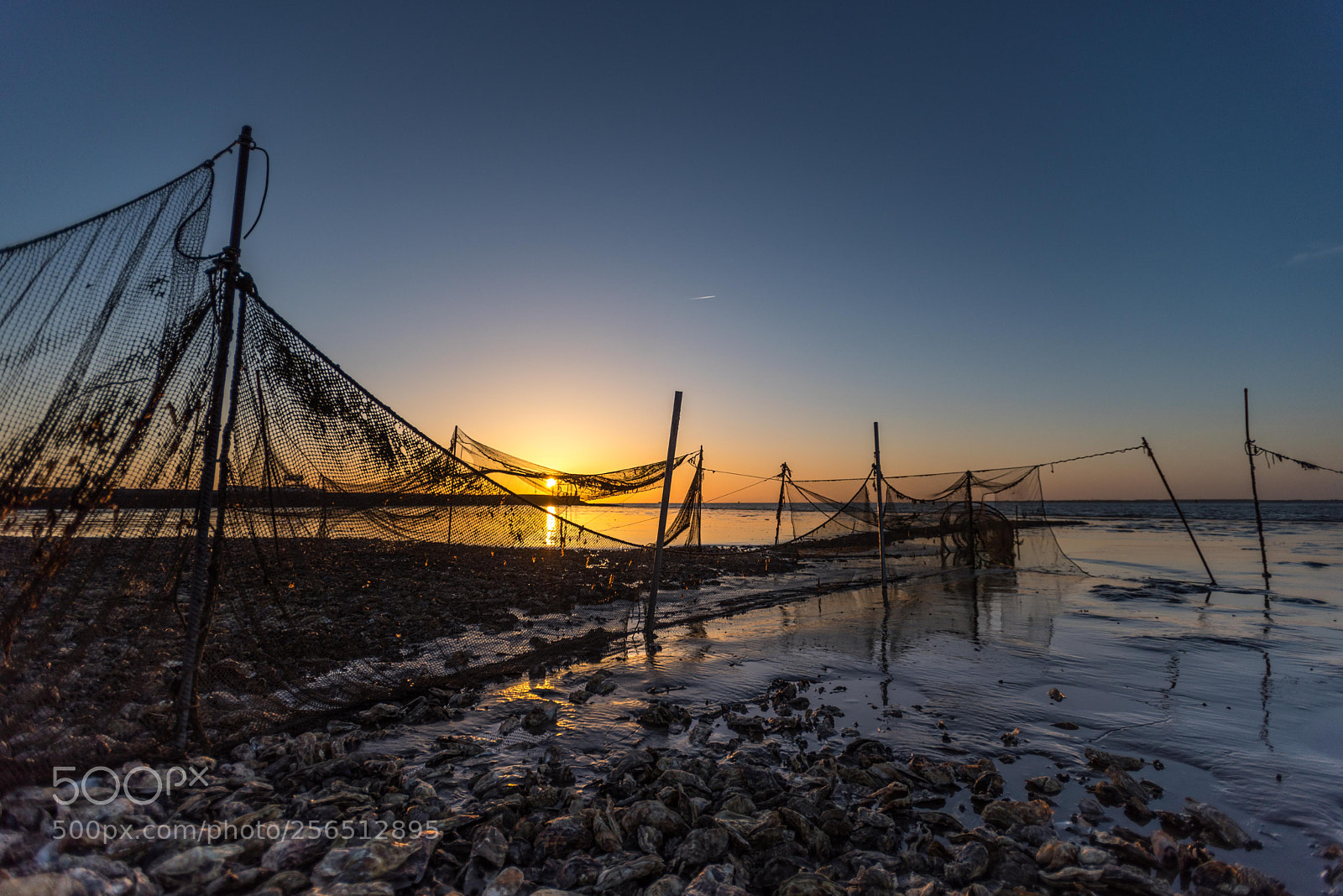 Nikon D750 sample photo. Waddenzee photography