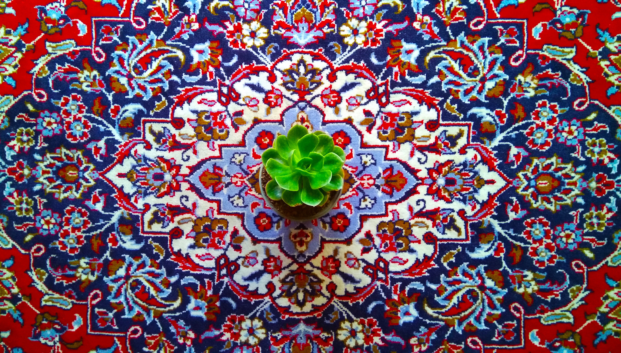 Xiaomi MI MAX sample photo. Irani carpet photography