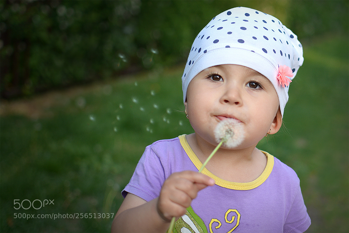 Nikon D7100 sample photo. Blowing into dandelions photography
