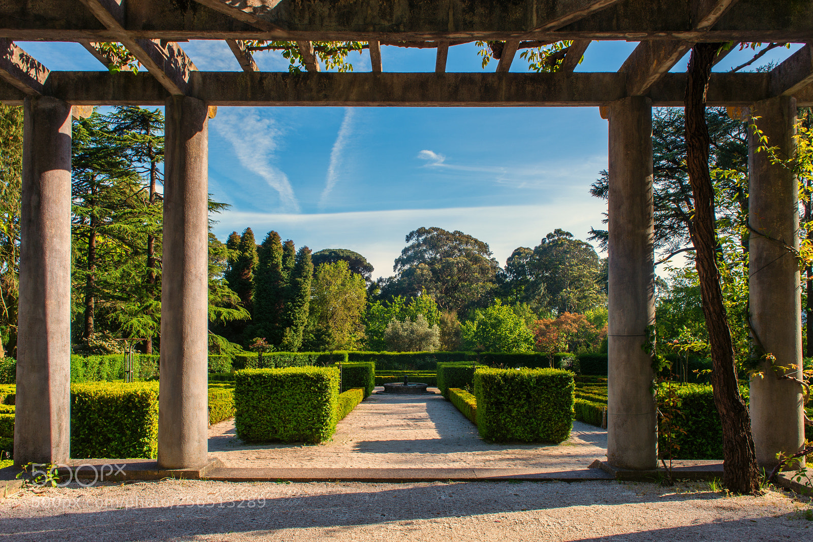 Nikon D600 sample photo. Columns in the garden photography