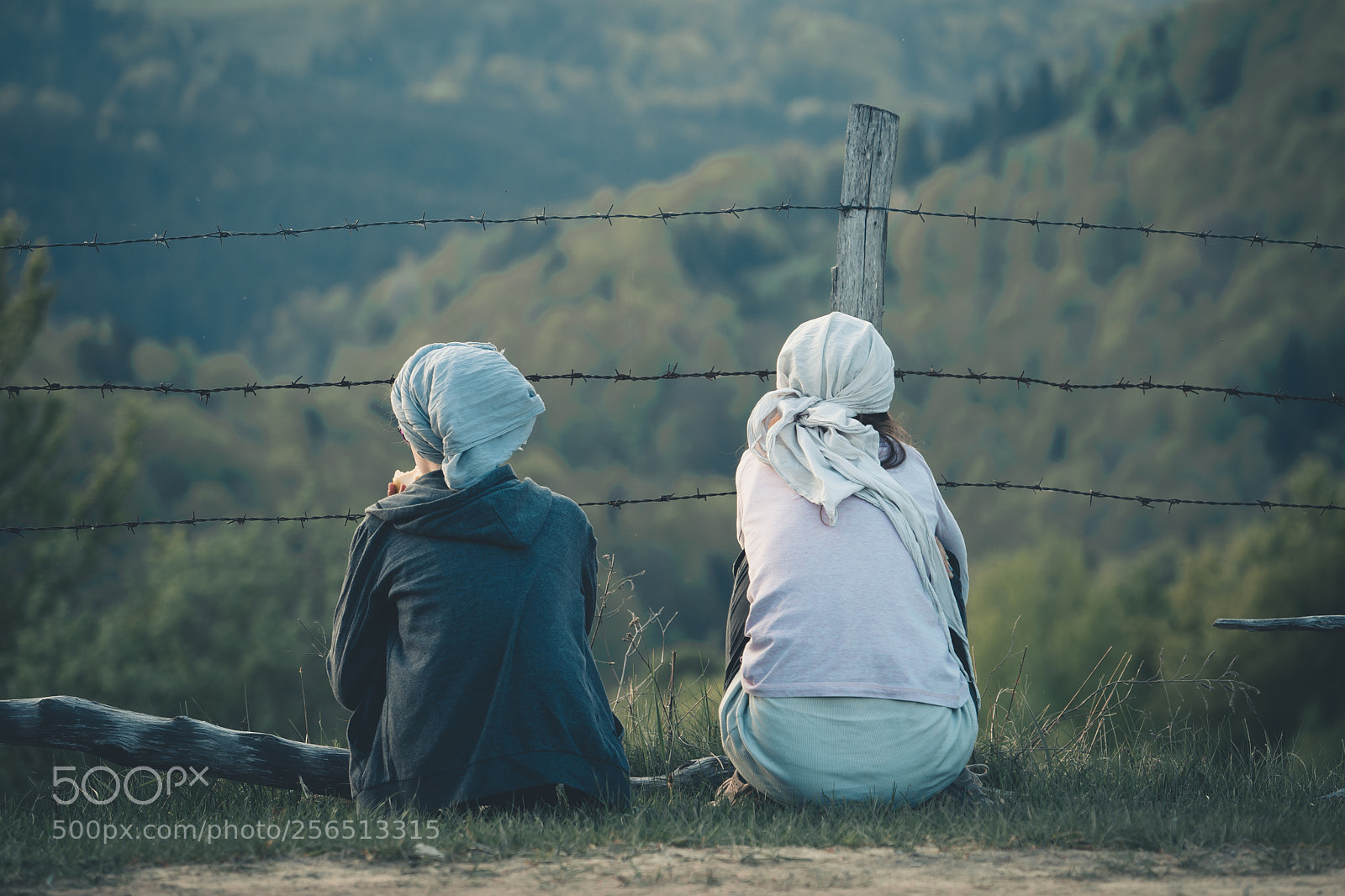 Sony a7 sample photo. Contemplating nature through a photography