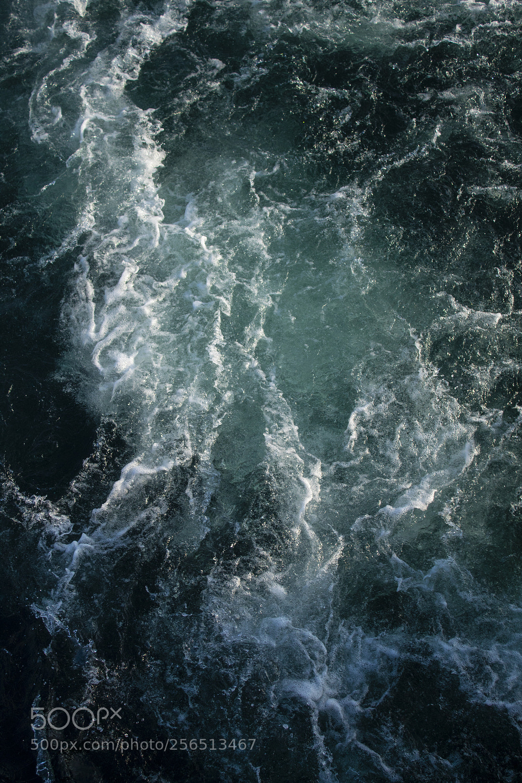 Canon EOS 1300D (EOS Rebel T6 / EOS Kiss X80) sample photo. Portrait of the sea photography