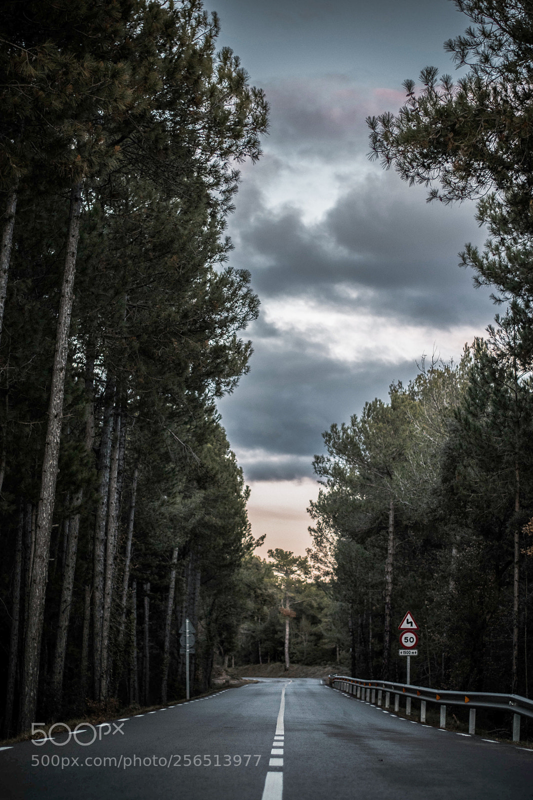 Nikon D3300 sample photo. Untitled photography