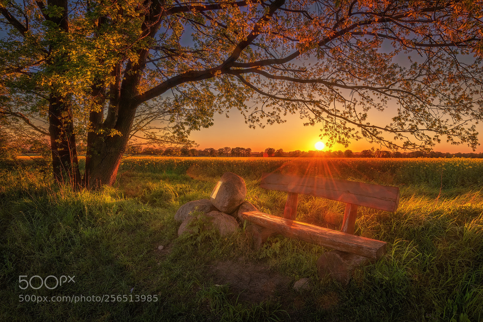 Nikon D810 sample photo. Romantic place photography