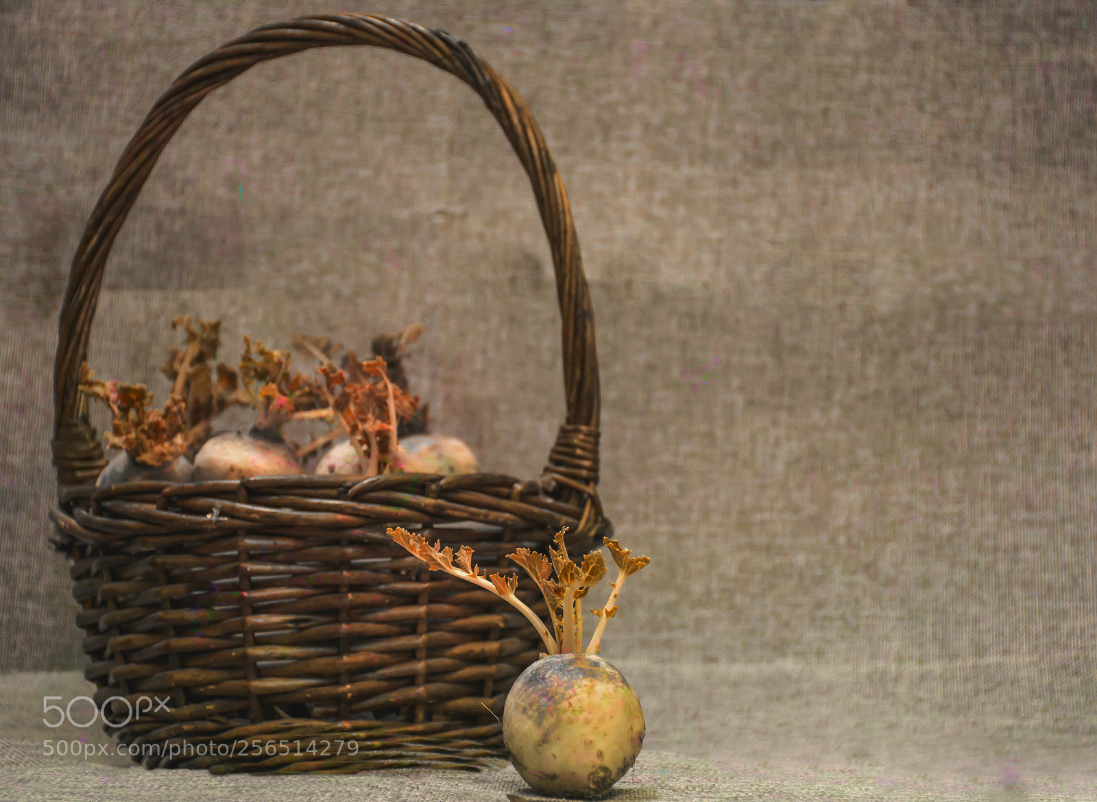 Nikon D7100 sample photo. Vintage.. photography