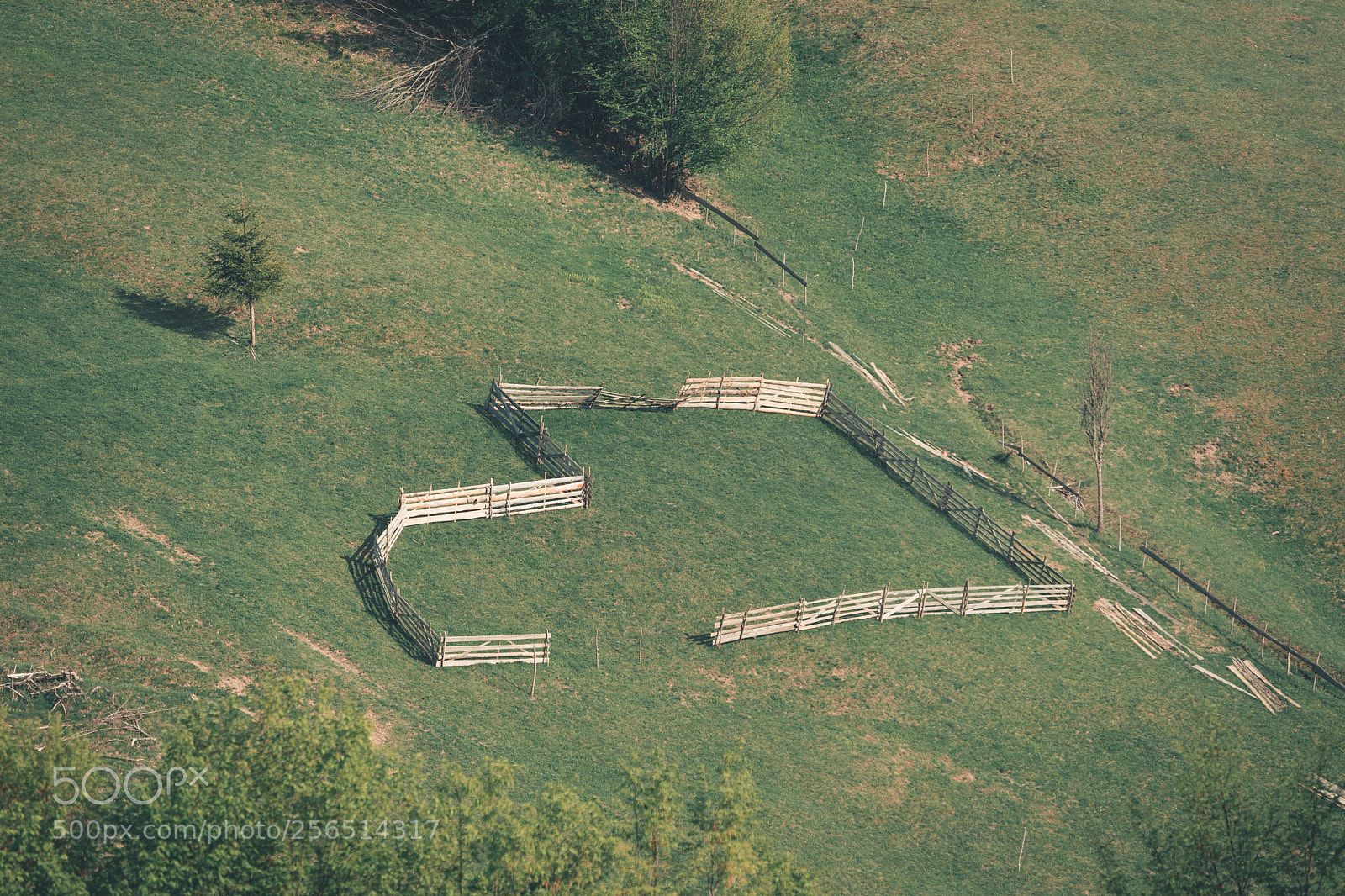 Sony a7 sample photo. Math tricks on the photography