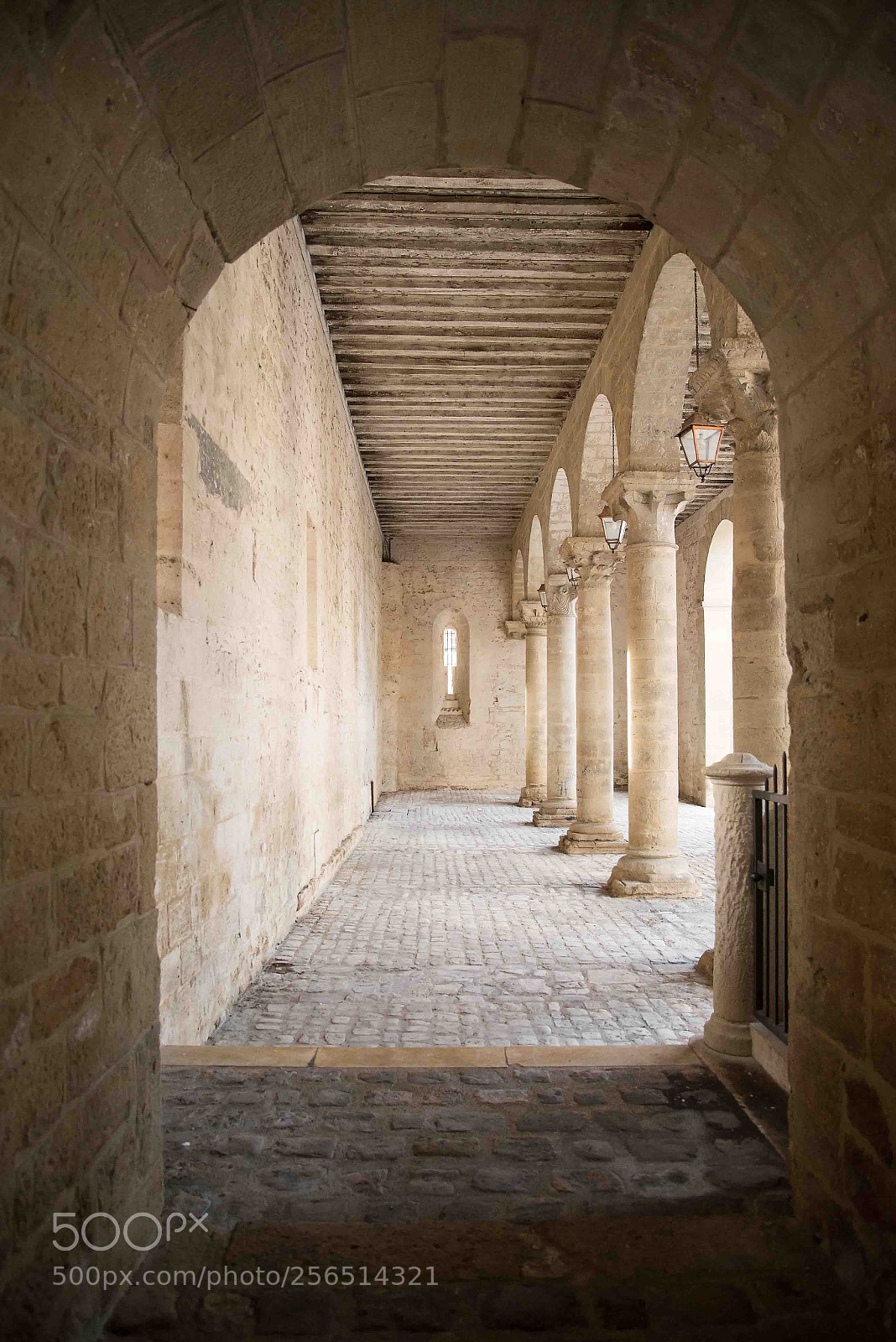 Nikon D610 sample photo. Medieval photography