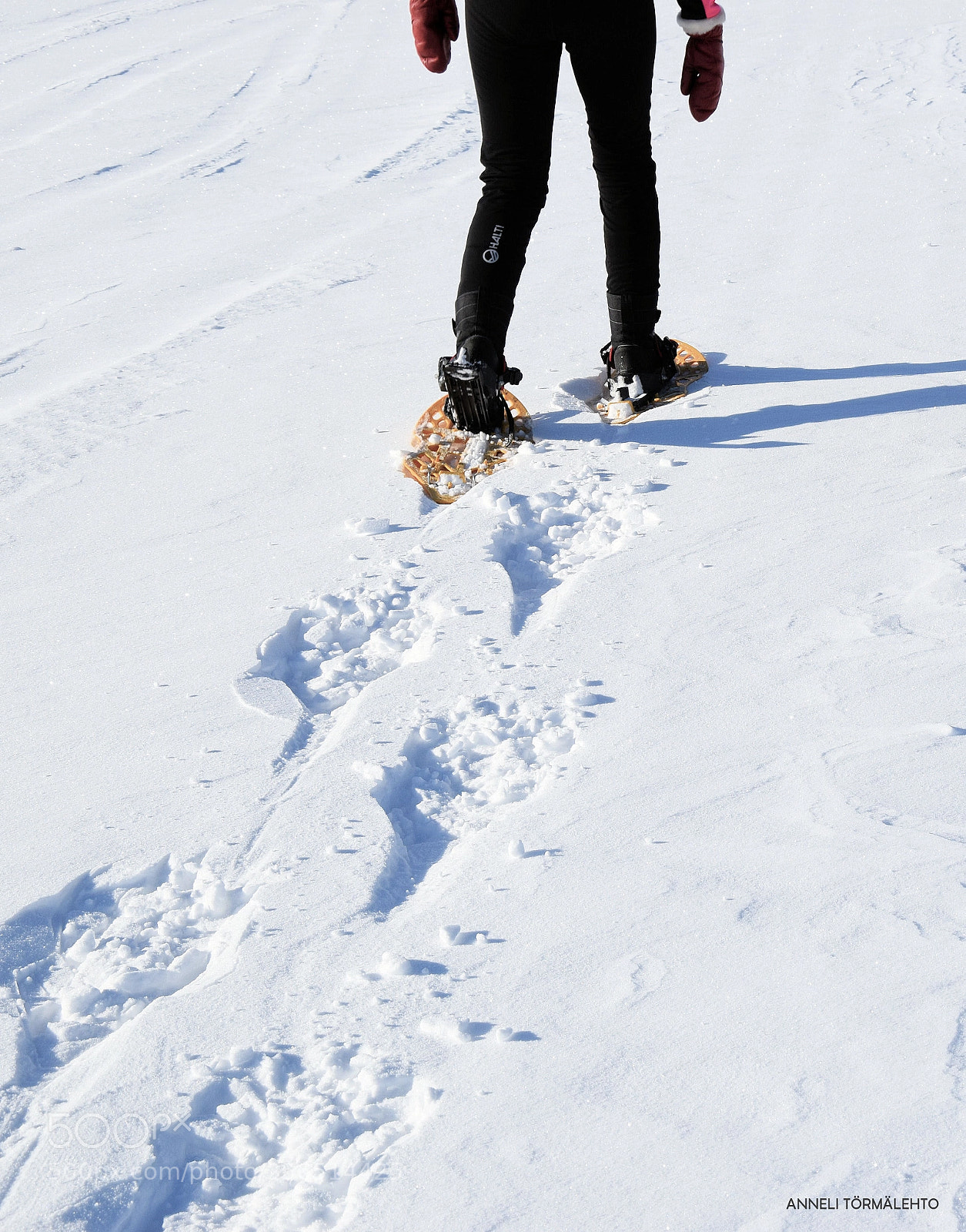 Nikon D5300 sample photo. Snow shoes photography