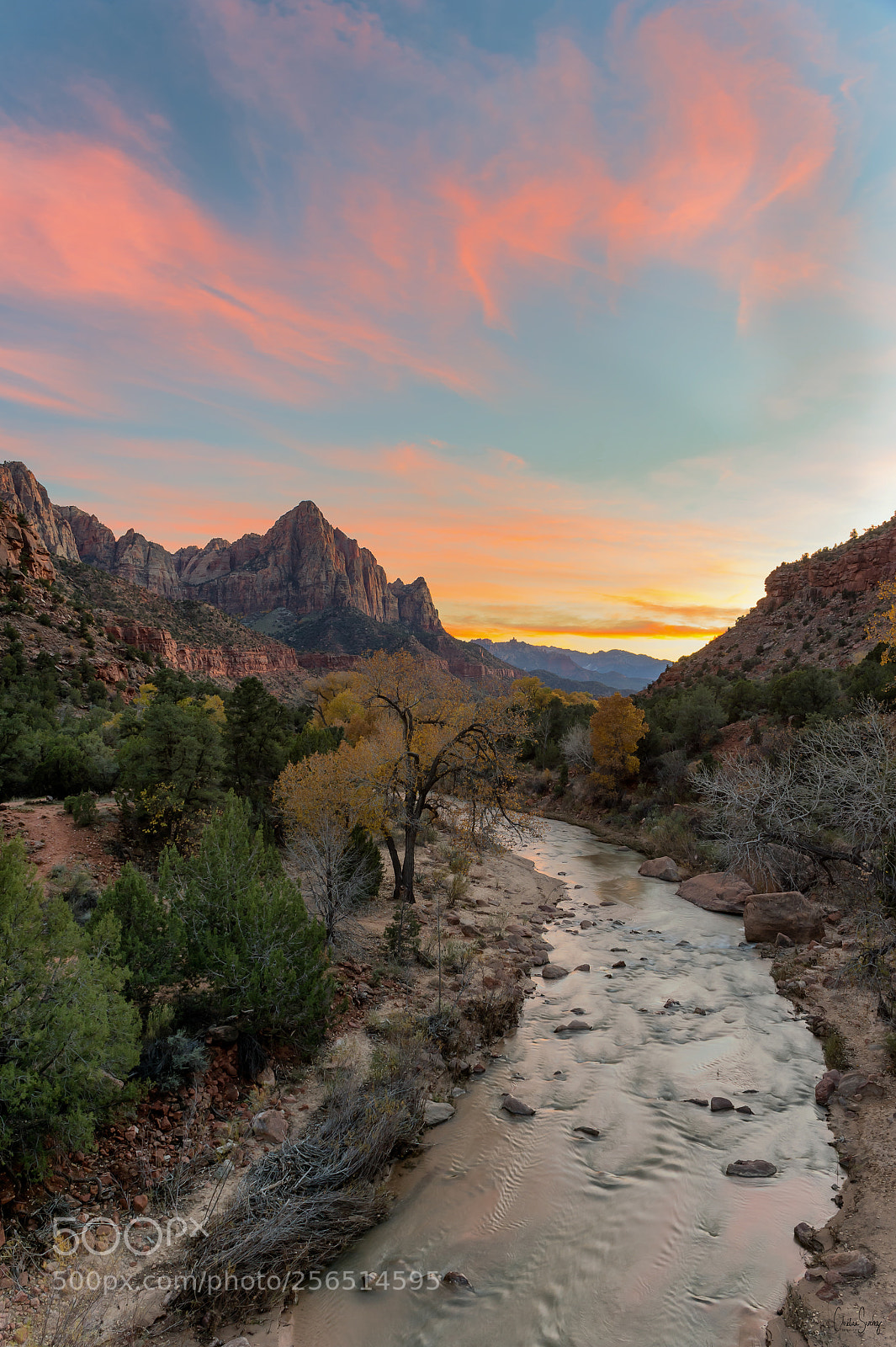 Nikon D4 sample photo. The watchman viewpoint photography