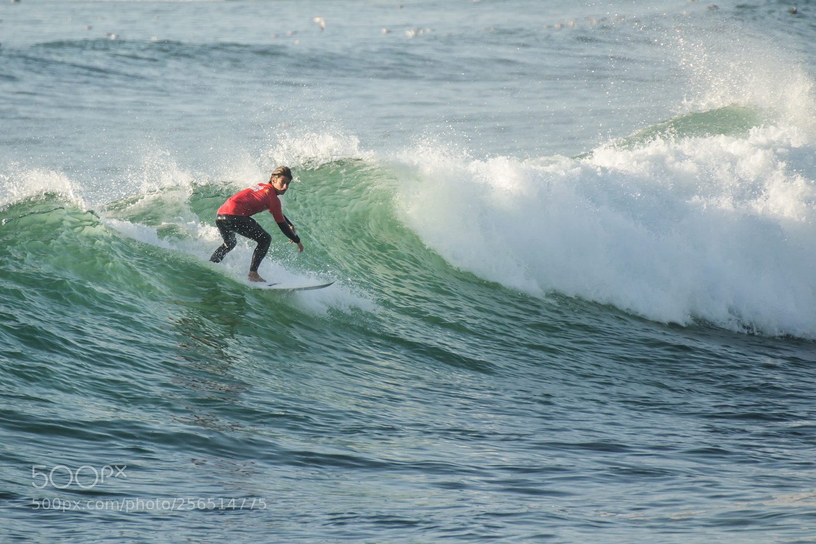Canon EOS 700D (EOS Rebel T5i / EOS Kiss X7i) sample photo. Surfer riding the wave photography