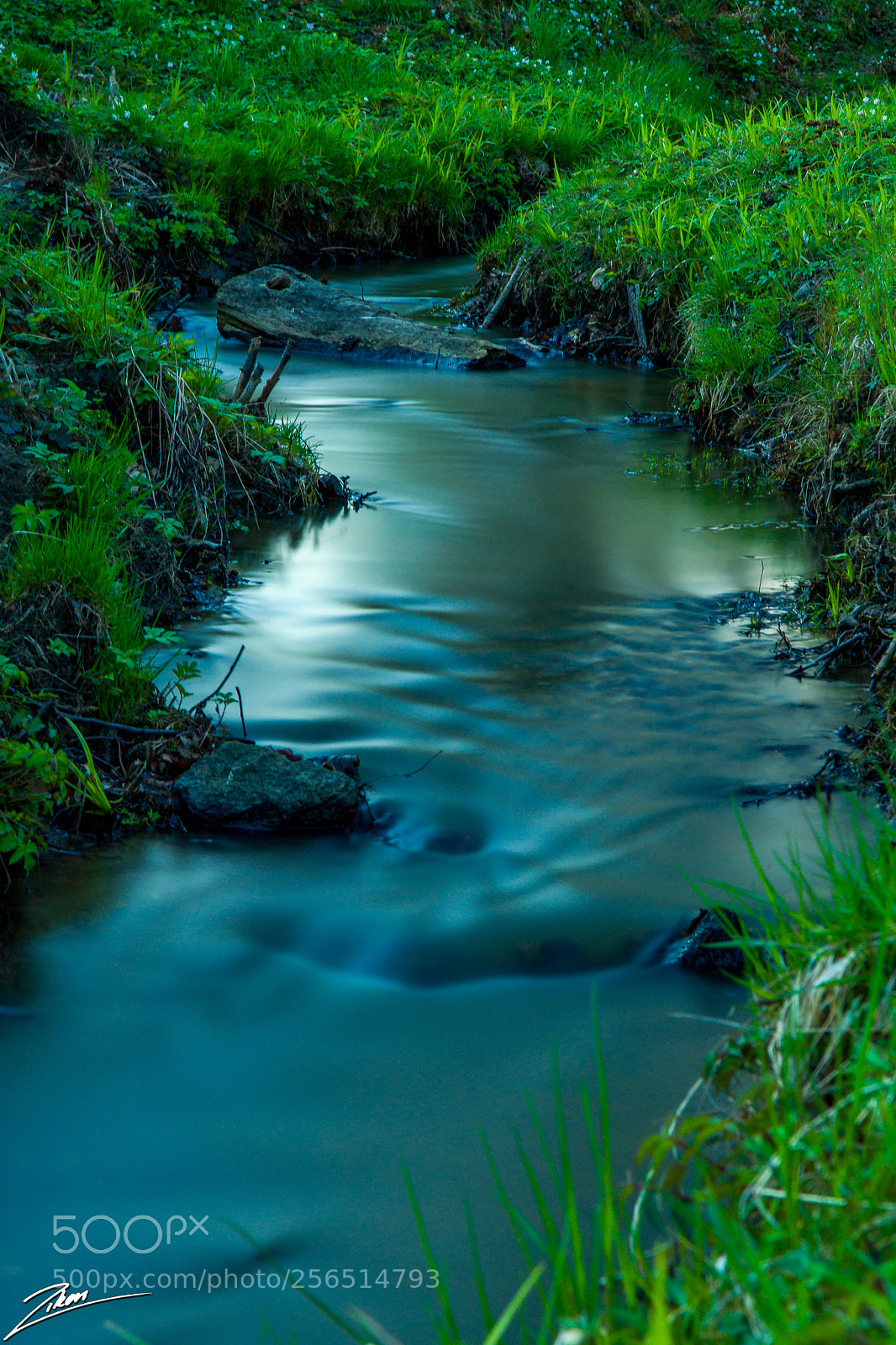 Nikon D500 sample photo. A small stream for photography