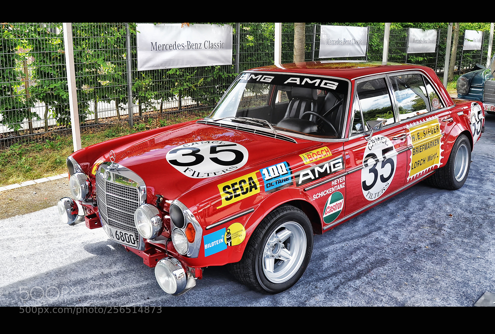 Nikon D90 sample photo. Rote sau by classic photography
