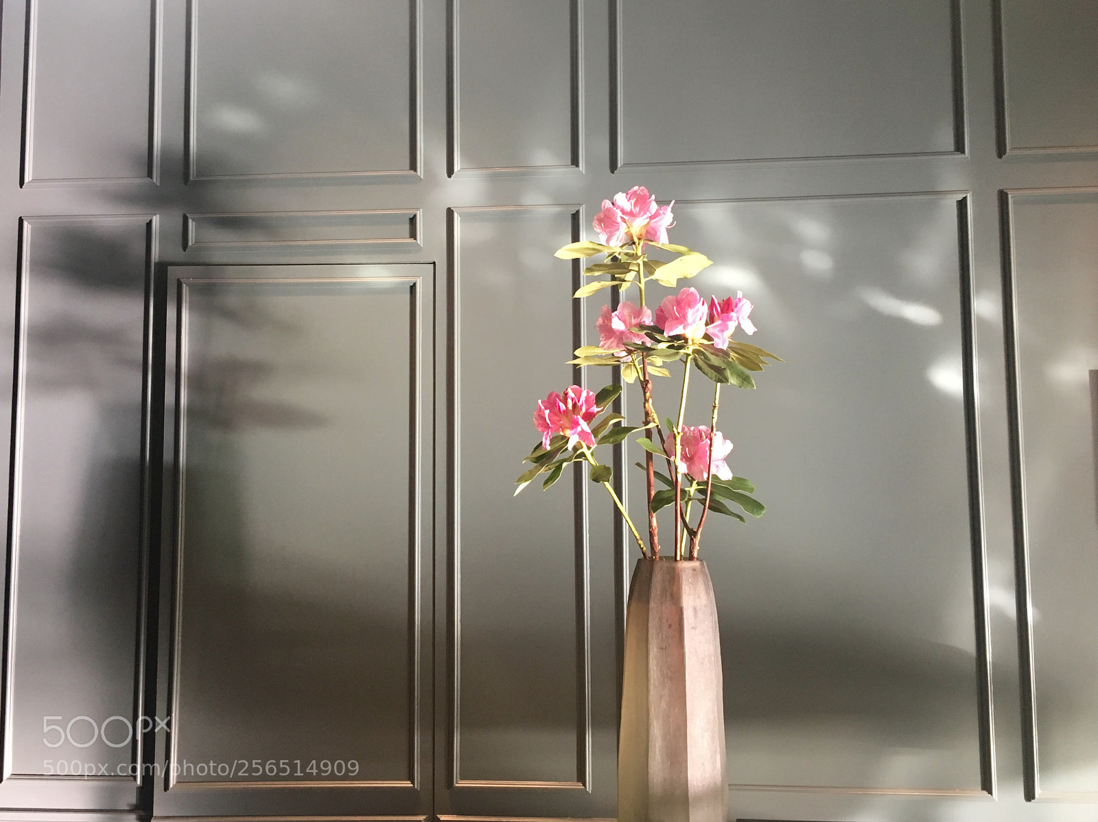 Apple iPhone 6s sample photo. Still life photography